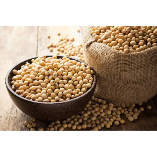 Is Soy a good protein source?